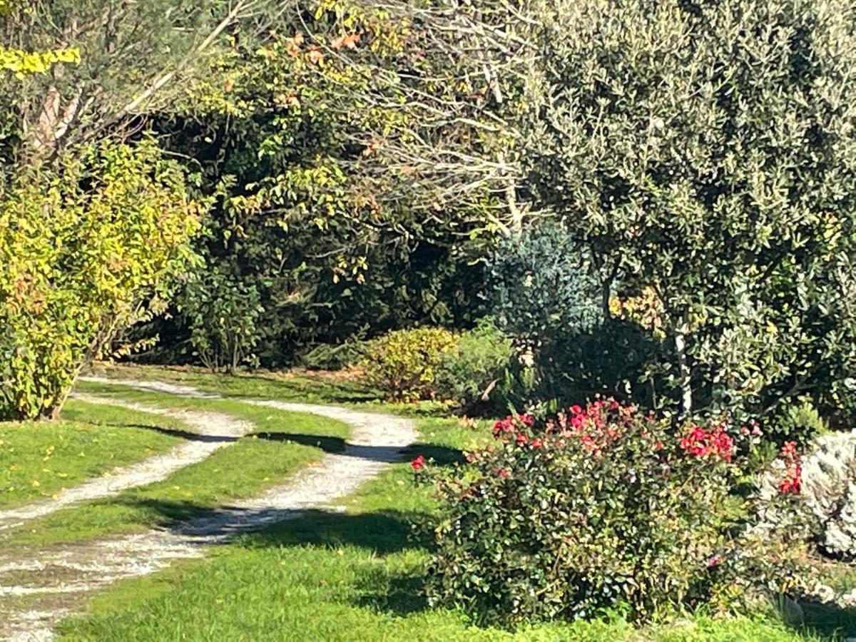 Borie Grande Villa Saint-Denis  Buitenkant foto