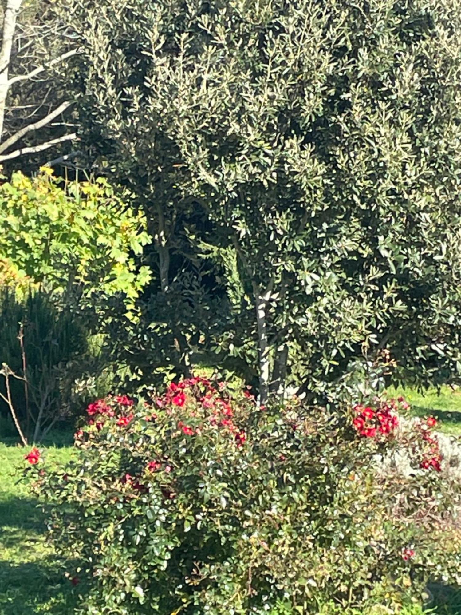 Borie Grande Villa Saint-Denis  Buitenkant foto